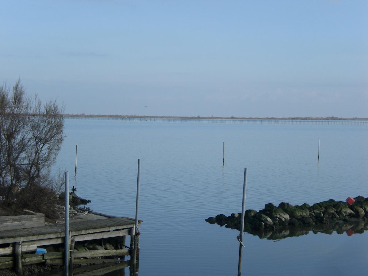 B&B La Luce - Casa Di Ale Loreo ภายนอก รูปภาพ